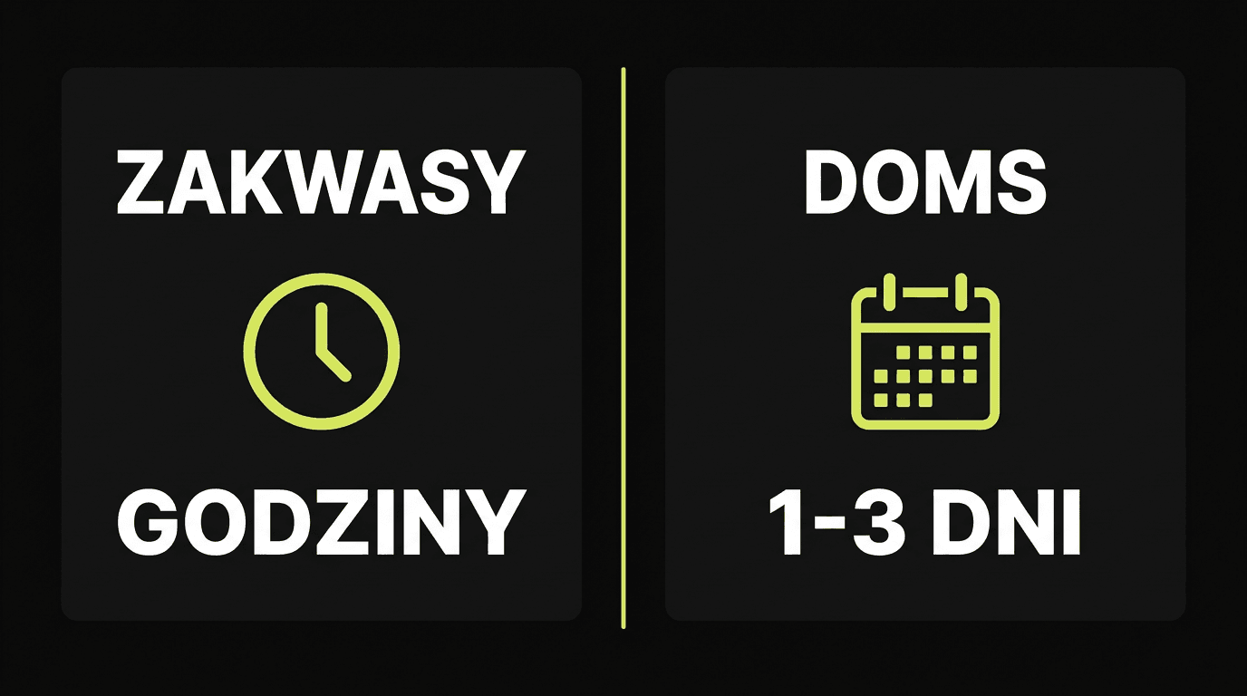 Infografika porównanie zakwasów i DOMS – czas trwania bólu mięśni